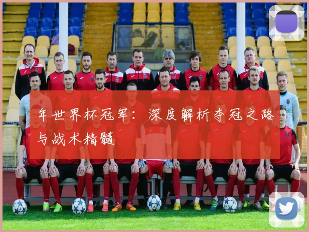 年世界杯冠军：深度解析夺冠之路与战术精髓